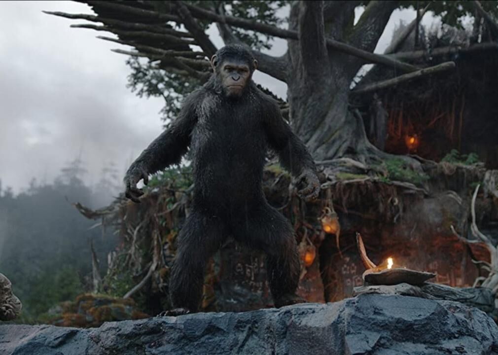 #84. Dawn of the Planet of the Apes (2014)